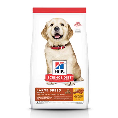 Best dog food for Great Danes and puppies in 2019 ...