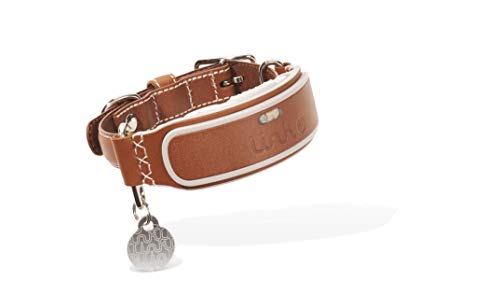 Link AKC Smart Dog Collar - GPS Location Tracker, Activity Monitor, and More, Medium (KITTN02)