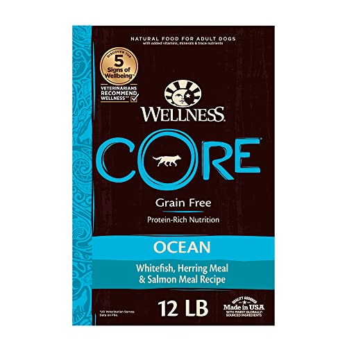 Wellness CORE Grain-Free High-Protein Dry Dog Food, Natural Ingredients, Made in USA with Real Meat, All Breeds, For...