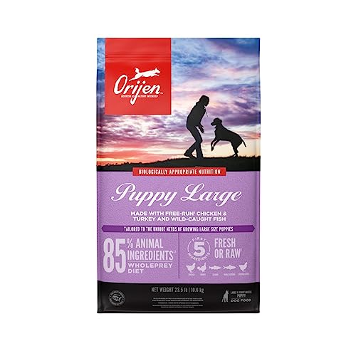 ORIJEN Puppy Large Dry Dog Food, Grain Free Dry Dog Food for Puppies, Fresh or Raw Ingredients, 23.5lb