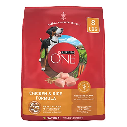 Purina ONE Chicken and Rice Formula Dry Dog Food - 8 lb. Bag