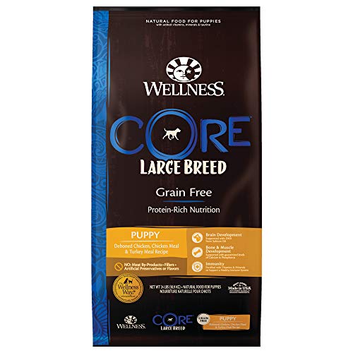 Wellness Natural Pet Food Wellness CORE Grain-Free High-Protein Large Breed Dry Dog Food, Natural Ingredients, Made in...