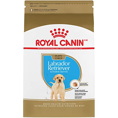 Best Puppy Food For Labs In 2021 Goodpuppyfood