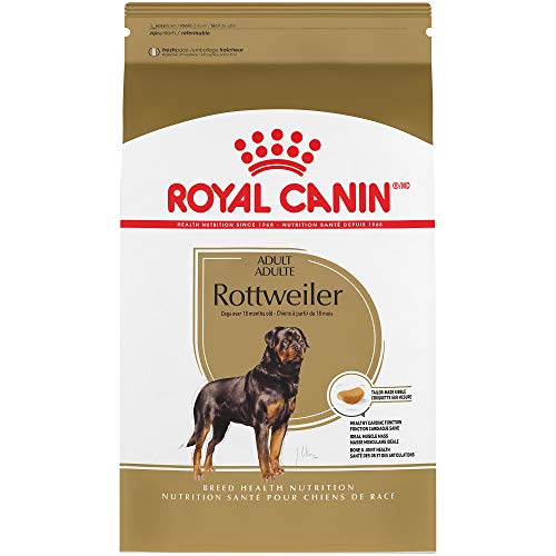 Best Food For Rottweiler Puppy For 2019 Goodpuppyfood