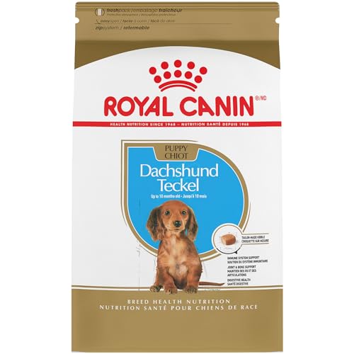 Royal Canin Dachshund Puppy Breed Specific Dry Dog Food, 2.5 lb. bag