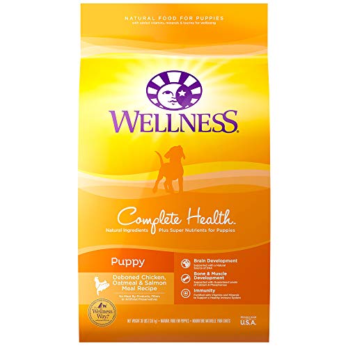 Wellness Natural Pet Food Complete Health Natural Dry Puppy Food, Chicken, Salmon & Oatmeal, 30-Pound Bag