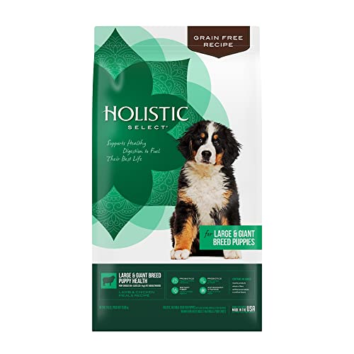 Holistic Select Natural Grain Free Dry Dog Food, Large & Giant Breed Puppy Recipe, 24-Pound Bag