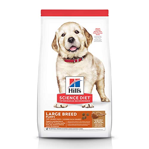 Hill's Science Diet Dry Dog Food, Puppy, Large Breeds, with Real Meat and Whole Grains, Lamb Meal And Brown Rice Recipe,...