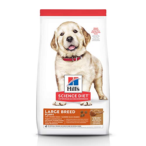 Best Puppy Food For Labs In 2021 Goodpuppyfood