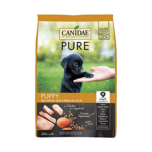 🦴 Best Dog Food for Puppies with