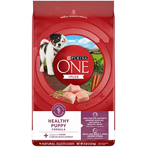 Purina ONE Natural, High Protein Dry Puppy Food, +Plus Healthy Puppy Formula - 8 lb. Bag
