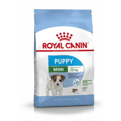 Royal Canin Mini Dog Junior (2kg)