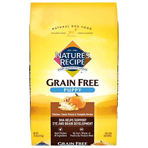 Nature S Recipe Dog Food Reviews Puppy Food Recalls 2021 Goodpuppyfood