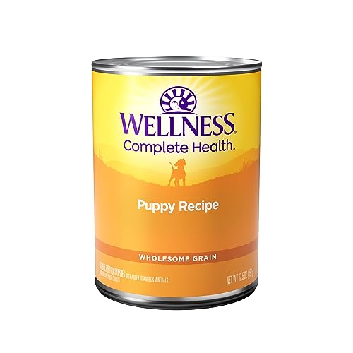 Wellness Complete Health Natural Wet Canned Puppy Food, Puppy Chicken & Salmon 12.5-Ounce Can (Pack of 12)