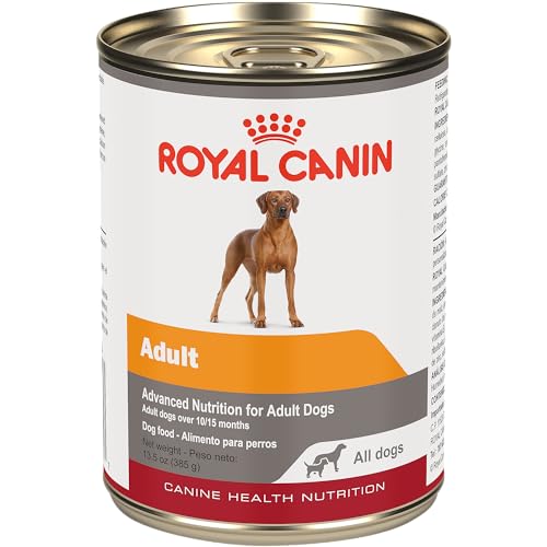 Royal Canin Canine Health Nutrition Adult In Gel Canned Dog Food, 13.5 oz can