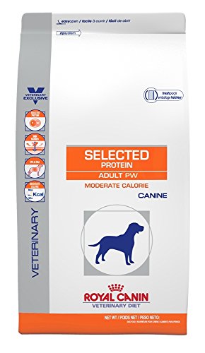 Royal Canin Dog Food Reviews Puppy Food Recalls 2020