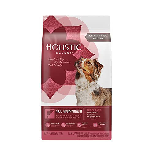 Holistic Select Natural Grain Free Dry Dog Food, Adult & Puppy Salmon, Anchovy & Sardine Recipe, 4-Pound Bag