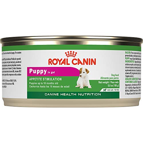 Royal Canin Canine Health Nutrition Puppy In Gel Canned Dog Food, 5.8 ounce Can (Pack of 24)