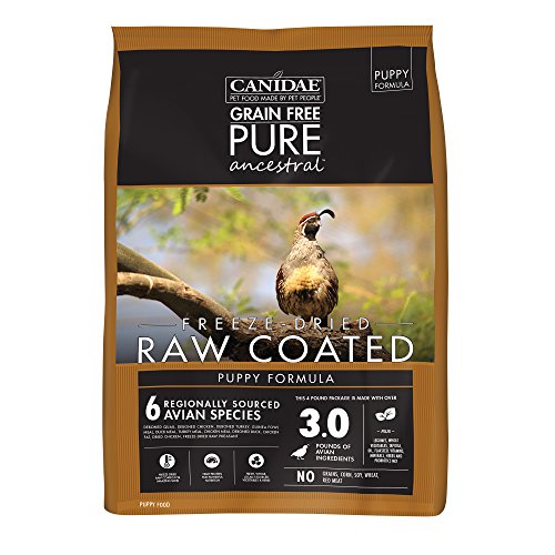 Canidae Grain Free Pure Ancestral Dry Dog Food