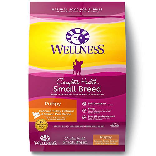 Wellness Natural Pet Food Complete Health Natural Dry Small Breed Puppy Food, Turkey, Salmon & Oatmeal, 12-Pound Bag