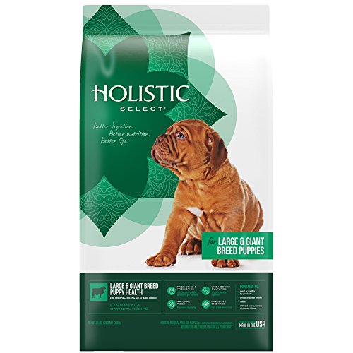 Best Dog Food For Cane Corsos Puppy In 2020