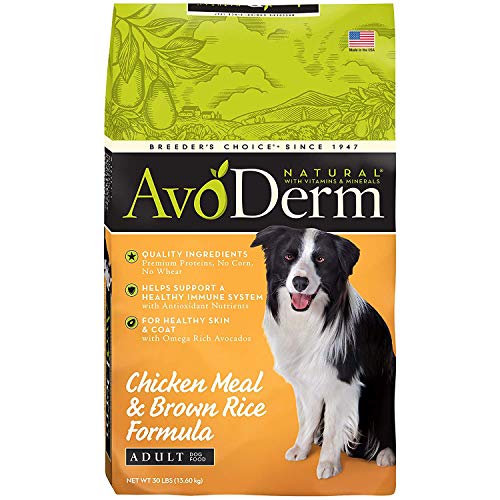 Best Dog Food for Dry & Itchy Skin ðŸ¦´ Skin Allergies ðŸ¦´ GoodPuppyFood