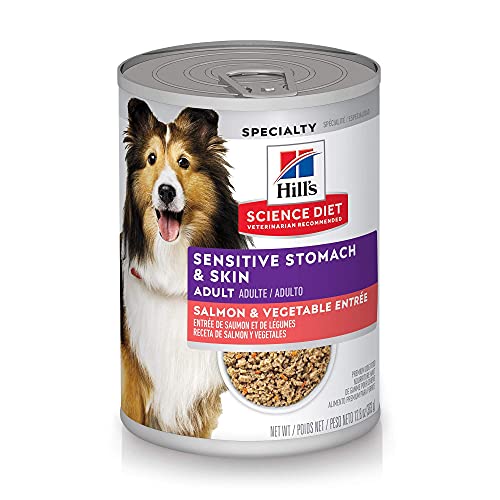 Hill's Science Diet Wet Dog Food, Adult, Sensitive Stomach & Skin, Salmon & Vegetable Entrée, 12.8 oz, (pack of 12)