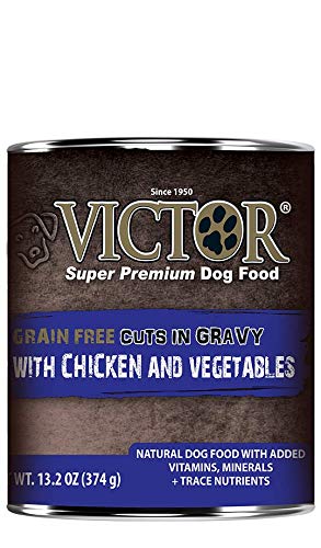 Victor Dog food Reviews 🦴 Puppy food recalls 2020 🦴 GoodPuppyFood