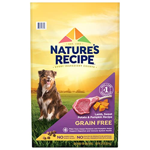 Nature's Recipe Grain Free Dry Dog Food, Lamb, Sweet Potato & Pumpkin Recipe, 24 Pound Bag, Easy to Digest