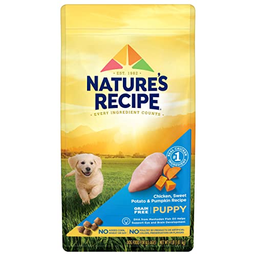 Nature′s Recipe Dry Puppy Food, Grain Free Puppy Chicken, Sweet Potato & Pumpkin Recipe, 4 lb. Bag