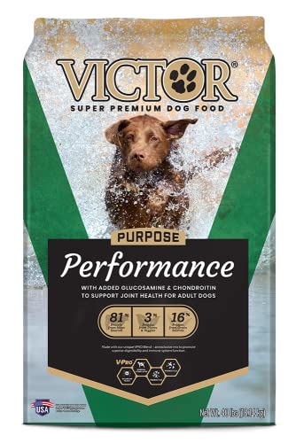 Victor Super Premium Dog Food – Performance Dry Dog Food – 26% Protein for Active Adult Dogs – Includes...