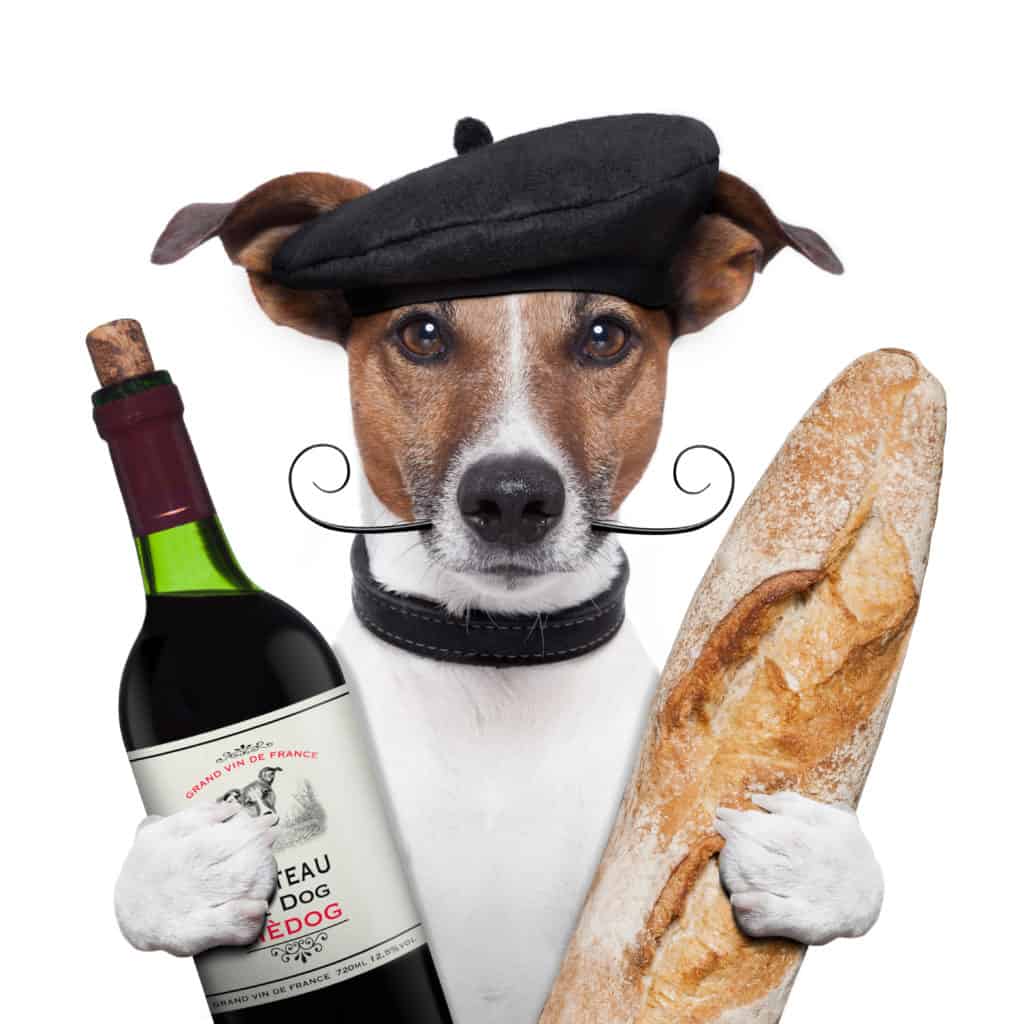 puppy with wine and baguette