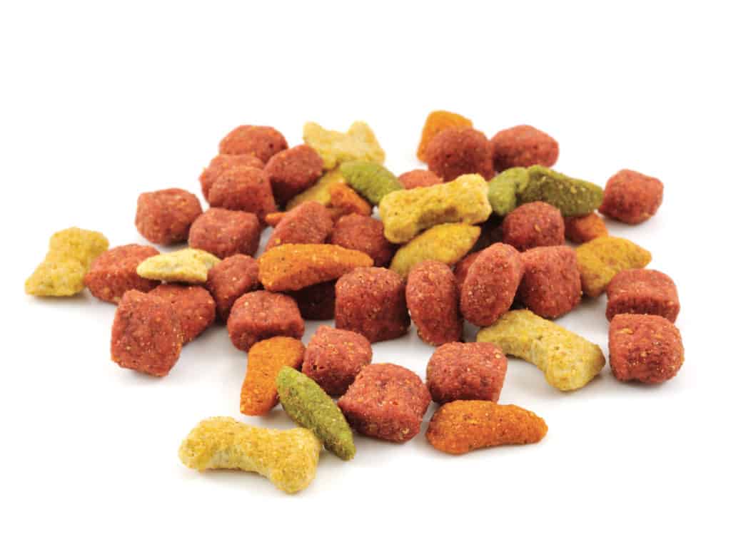 Wellness Dog Food Reviews 🦴 Puppy Food Recalls 2020 🦴 GoodPuppyFood