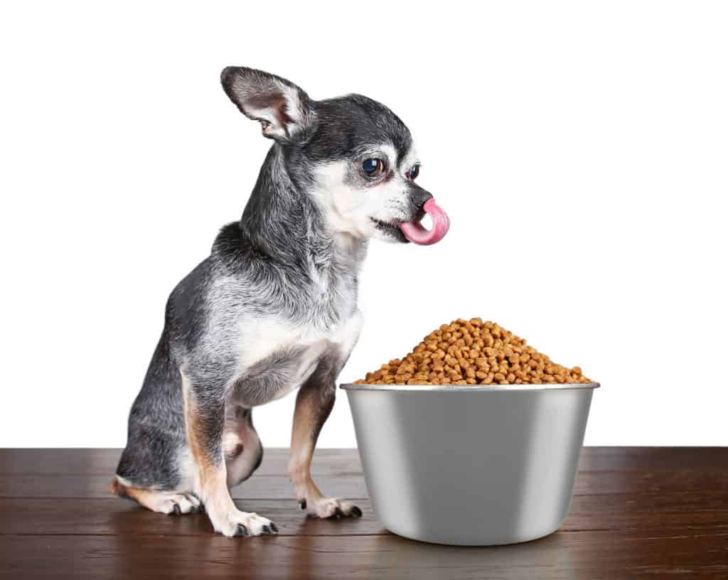 best wet food for chihuahua puppy