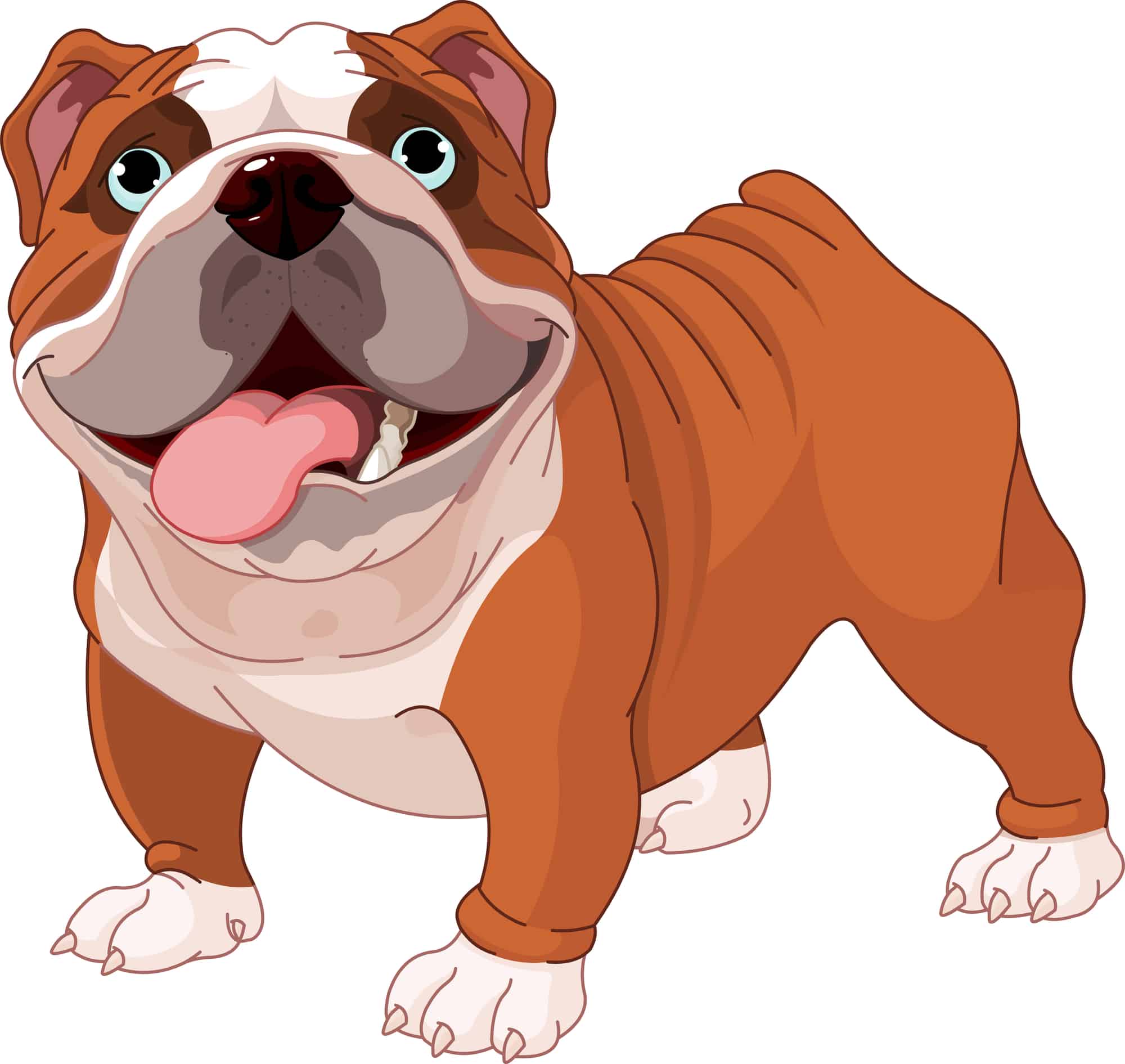? Best Food for English Bulldog Puppy in 2024 ? GoodPuppyFood