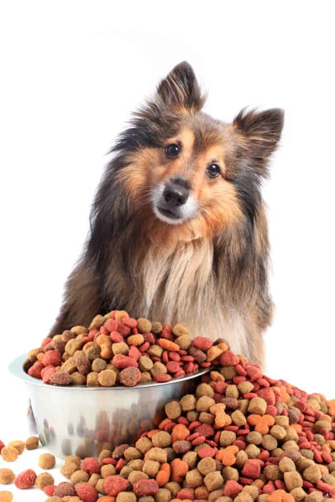 who makes 4health canned dog food