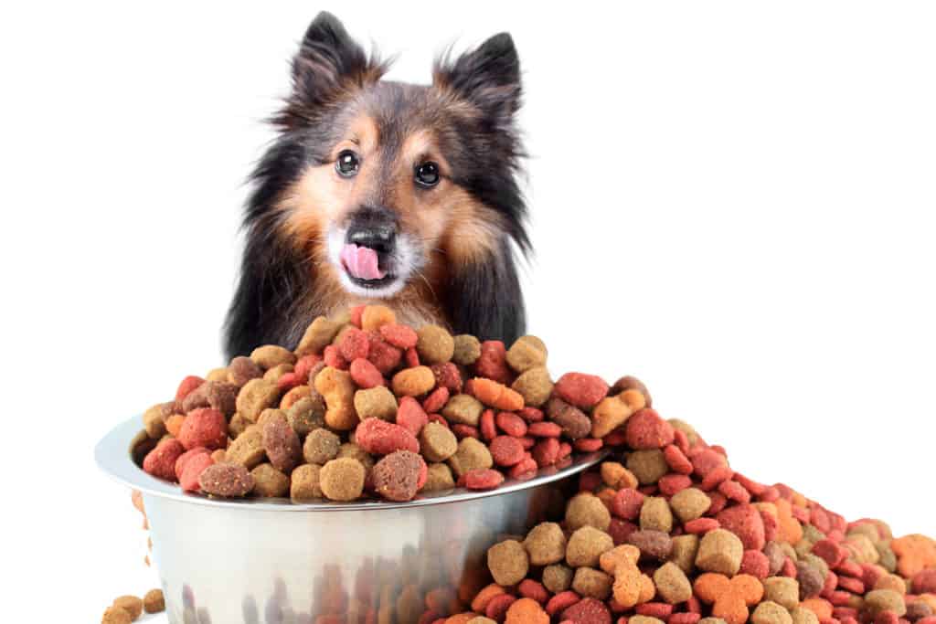 Blue mountain best sale dog food reviews