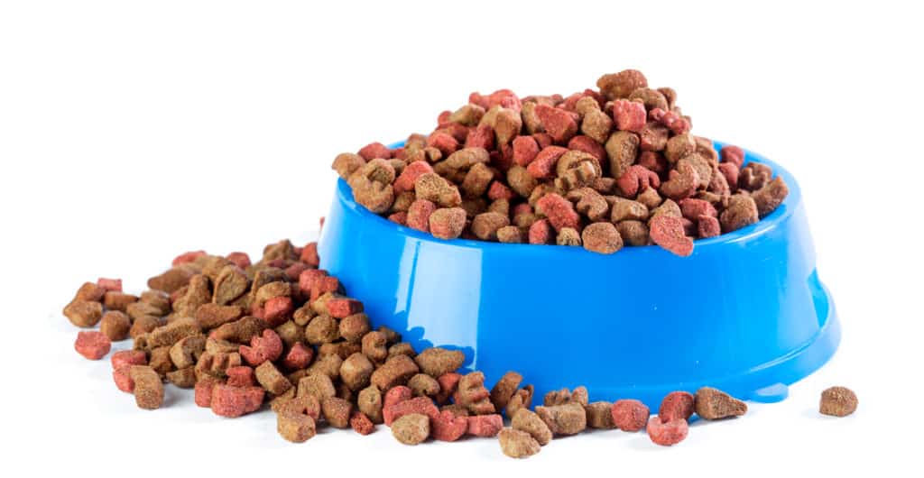 canidae kibble