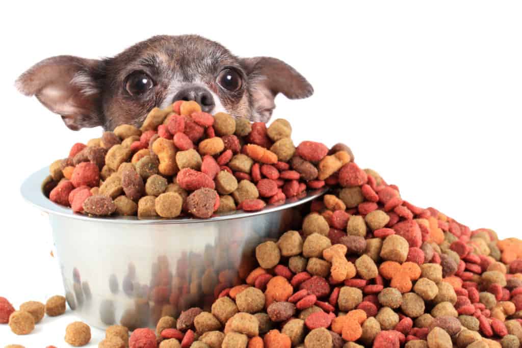 Authority puppy food outlet reviews