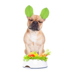 what is the best vegetarian dog food